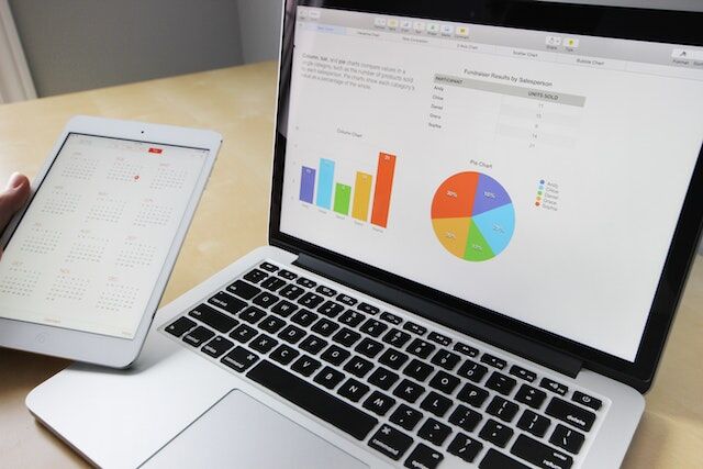 A user analyzes data with data visualization software.